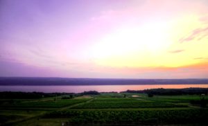 The Vineyard Table Summer Solstice Celebration @ Atwater Estate Vineyards | Burdett | New York | United States